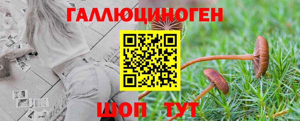 Псилоцибиновые грибы ЛСД Белгород